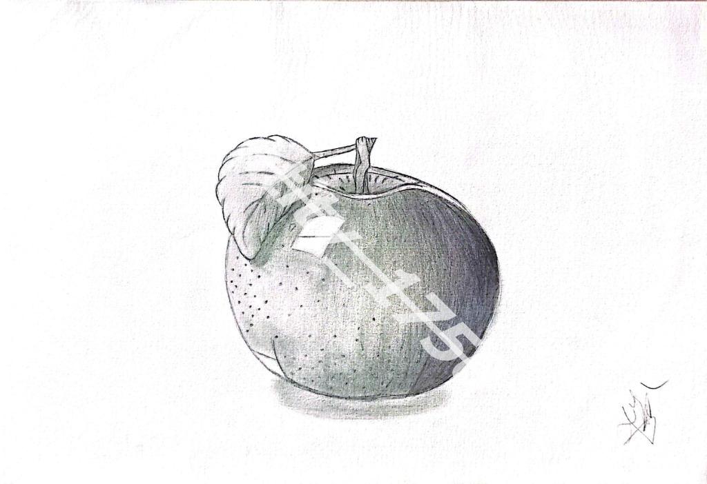 Dessin « Pomme Nature Morte »